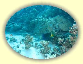 20100918_021 * 3072 x 2304 * (3.07MB)