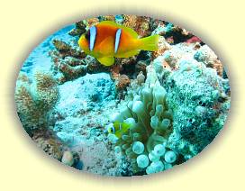 20100918_024 * 3072 x 2304 * (3.35MB)