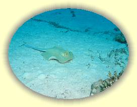 20100918_025 * 2192 x 1646 * (2.44MB)