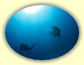 20100918_026 * 2844 x 2135 * (2.31MB)