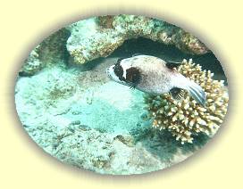 20100918_030 * 2524 x 1895 * (3.3MB)