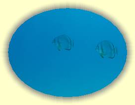 20100918_031 * 2368 x 1770 * (1.62MB)