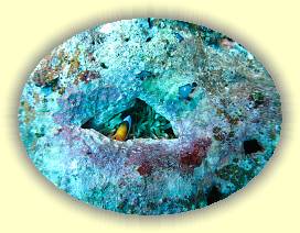 20100919_002 * 3072 x 2304 * (4.07MB)