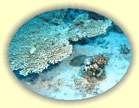 20100919_003 * 2652 x 1991 * (4.04MB)