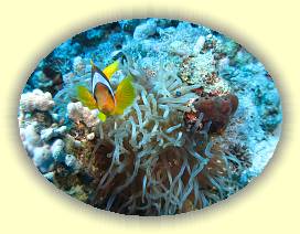 20100919_004 * 3072 x 2304 * (3.09MB)