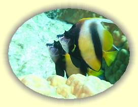 20100919_013 * 3072 x 2304 * (2.43MB)