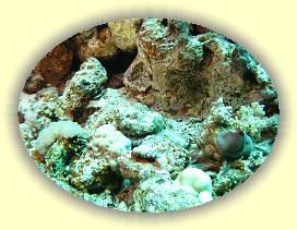 20100919_014 * 2975 x 2231 * (4.8MB)