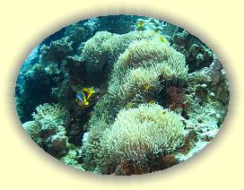 20100919_015 * 2918 x 2189 * (4.53MB)