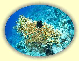 20100919_017 * 3072 x 2304 * (3.77MB)