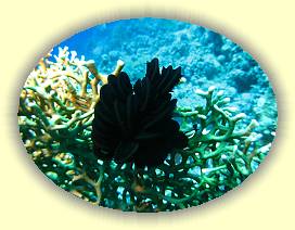 20100919_018 * 3072 x 2304 * (2.7MB)