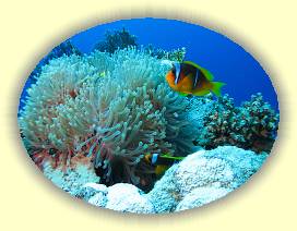 20100919_020 * 3072 x 2304 * (3.18MB)