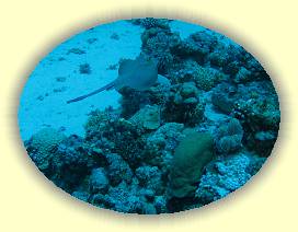 20100919_024 * 3072 x 2304 * (3.35MB)