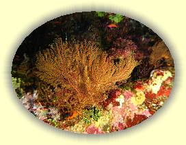 20100920_004 * 3072 x 2304 * (4.67MB)