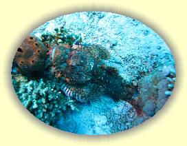 20100920_007 * 3072 x 2304 * (3.55MB)