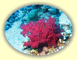 20100920_008 * 3072 x 2304 * (3.48MB)