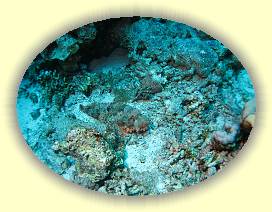 20100920_009 * 3072 x 2304 * (4.35MB)