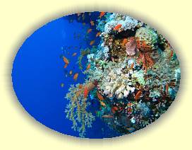 20100920_012 * 3072 x 2304 * (3.42MB)