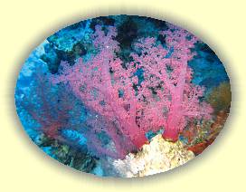 20100920_014 * 3072 x 2304 * (3.5MB)