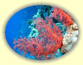 20100920_015 * 3072 x 2304 * (3.37MB)