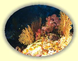 20100920_016 * 3072 x 2304 * (4.8MB)