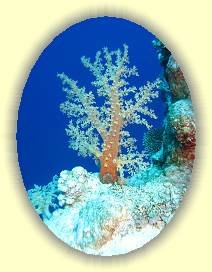 20100920_017 * 3072 x 2304 * (3.32MB)