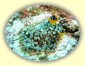 20100920_019 * 3072 x 2304 * (3.56MB)