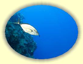 20100920_021 * 2627 x 1972 * (2.62MB)