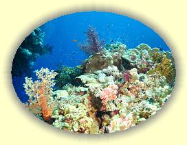 20100920_023 * 3072 x 2304 * (3.69MB)