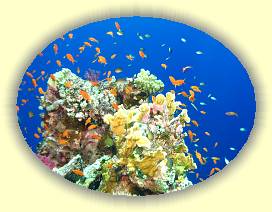 20100920_026 * 3072 x 2304 * (3.03MB)