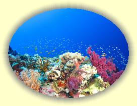 20100920_030 * 3072 x 2304 * (3.07MB)