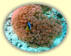 20100920_033 * 3072 x 2304 * (3.13MB)