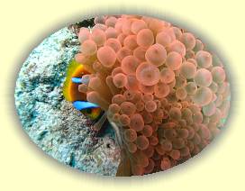 20100920_035 * 3072 x 2304 * (2.78MB)