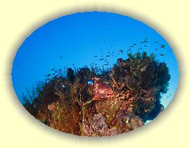 20100920_036 * 3072 x 2304 * (3.01MB)