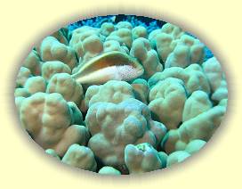 20100921_002 * 3072 x 2304 * (3.1MB)