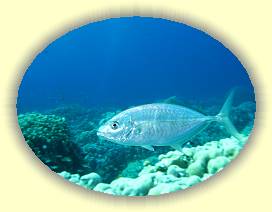 20100921_003 * 3072 x 2304 * (2.12MB)