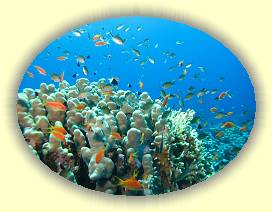 20100921_004 * 3072 x 2304 * (2.84MB)