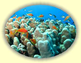 20100921_005 * 3072 x 2304 * (2.94MB)