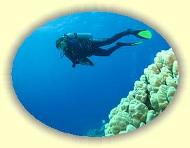 20100921_006 * 3072 x 2304 * (2.32MB)