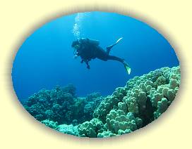 20100921_007 * 3072 x 2304 * (2.6MB)