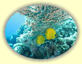 20100921_009 * 3072 x 2304 * (3.13MB)