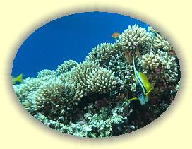 20100921_011 * 2393 x 1790 * (3.11MB)