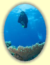 20100921_012 * 3072 x 2304 * (2.41MB)