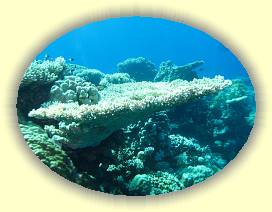 20100921_013 * 3072 x 2304 * (3.01MB)