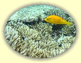 20100921_018 * 1636 x 1233 * (1.63MB)