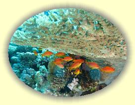 20100921_020 * 3072 x 2304 * (4.05MB)