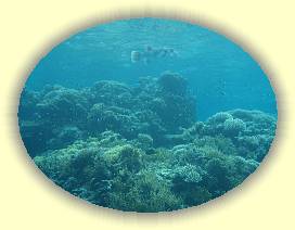 20100921_021 * 3072 x 2304 * (3.1MB)