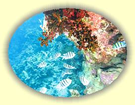 20100921_025 * 3072 x 2304 * (4.79MB)