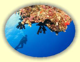 20100921_026 * 2723 x 2042 * (3.43MB)