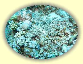 20100921_027 * 3072 x 2304 * (4.07MB)