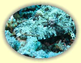 20100921_028 * 3072 x 2304 * (3.44MB)